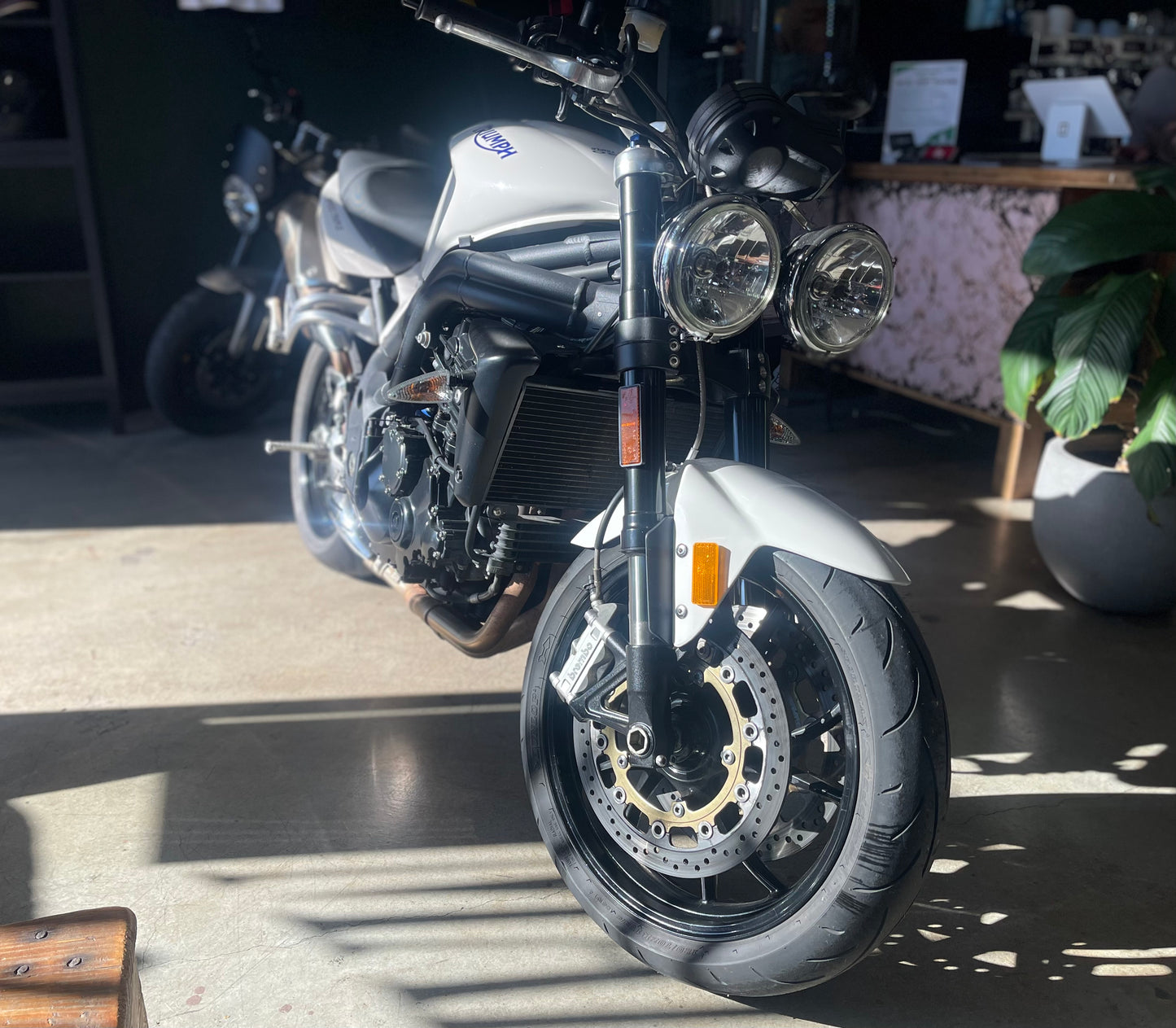 2008 TRIUMPH SPEED TRIPLE